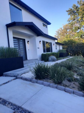Large modern home